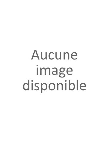 Seau à Champagne - 2...